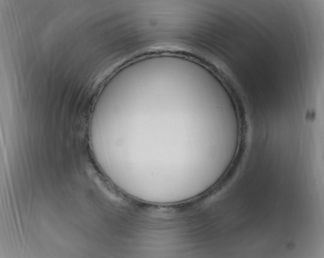 X0000110940833200906191048