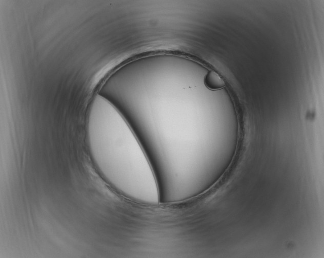 X0000110940834200906191048
