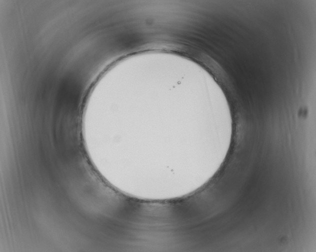 X0000110940836200906191048