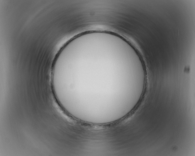 X0000110940839200906191048