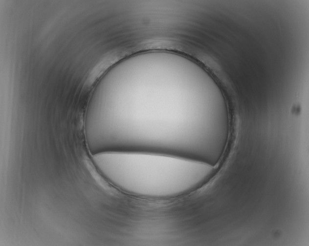 X0000110940841200906191048