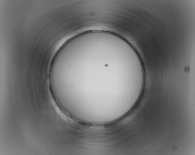 X0000110940845200906191048