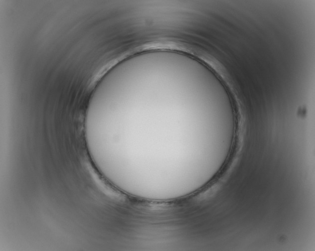 X0000110940849200906191049