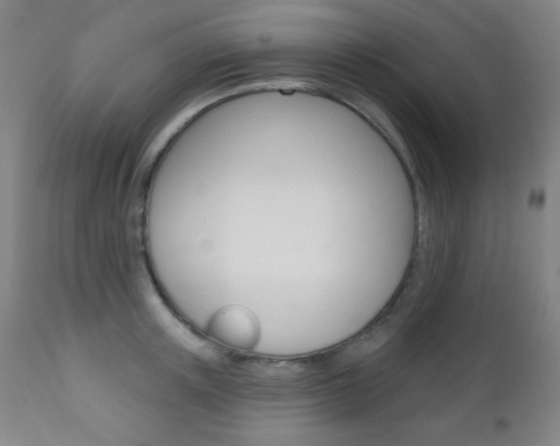 X0000110940851200906191049