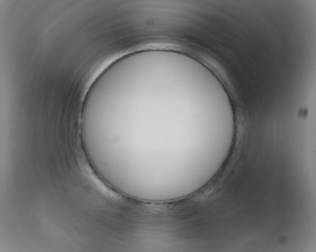 X0000110940852200906191049