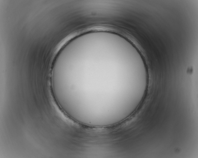X0000110940853200906191049