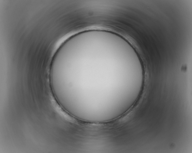 X0000110940854200906191049