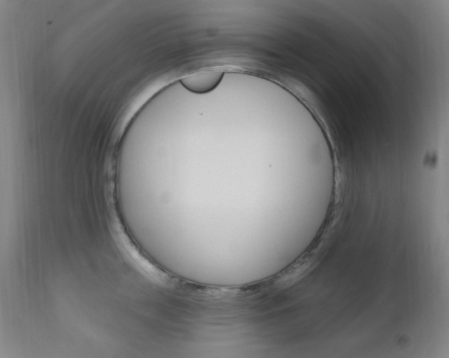 X0000110940859200906191049