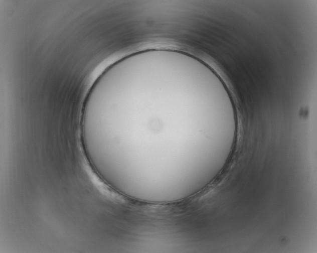 X0000110940861200906191049