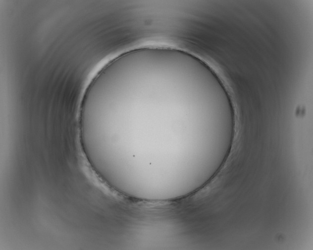 X0000110940864200906191049