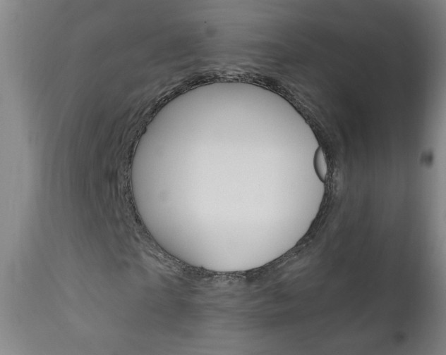 X0000110940865200906191048