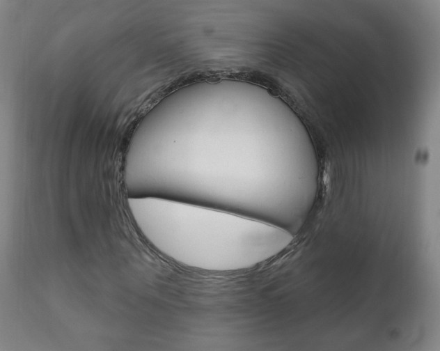 X0000110940867200906191048