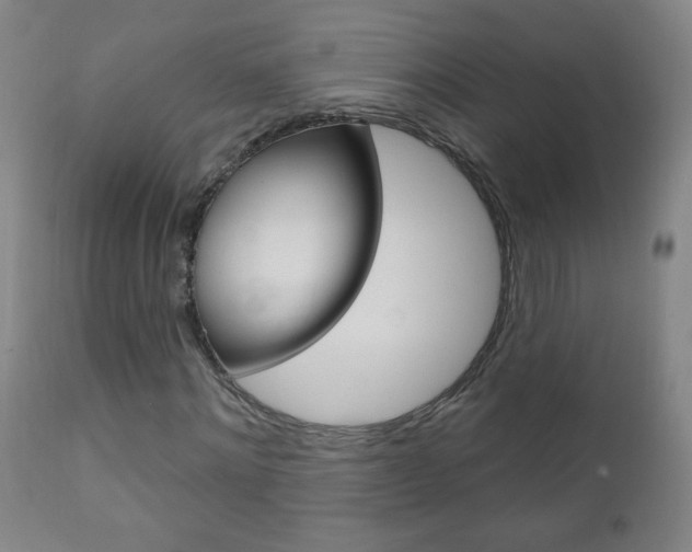 X0000110940868200906191048