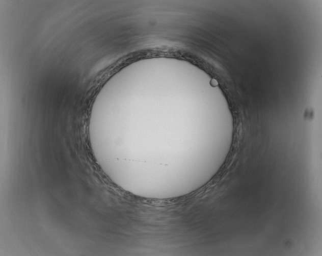 X0000110940869200906191048