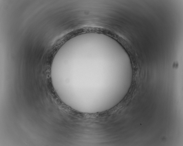 X0000110940870200906191048