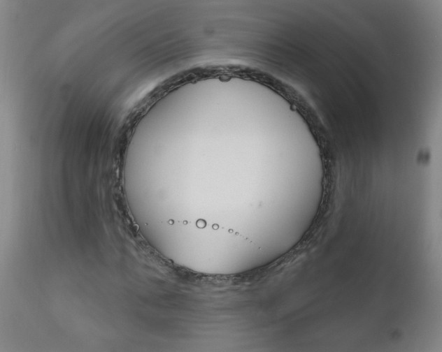 X0000110940871200906191048
