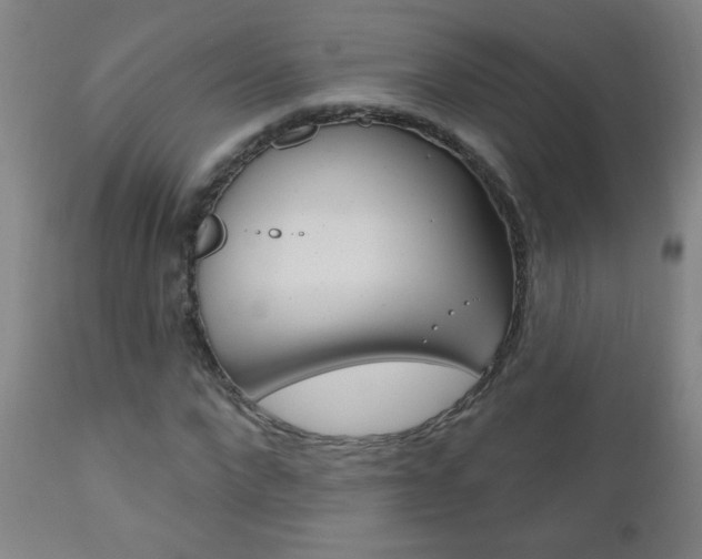 X0000110940872200906191048