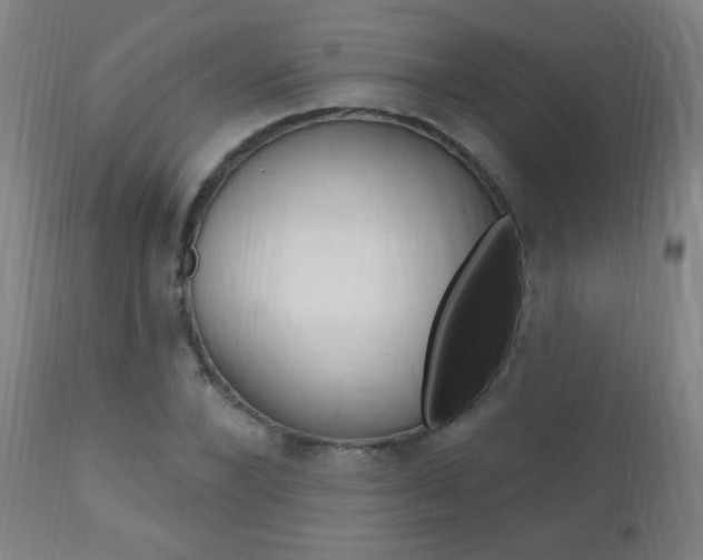 X0000110940880200906191048