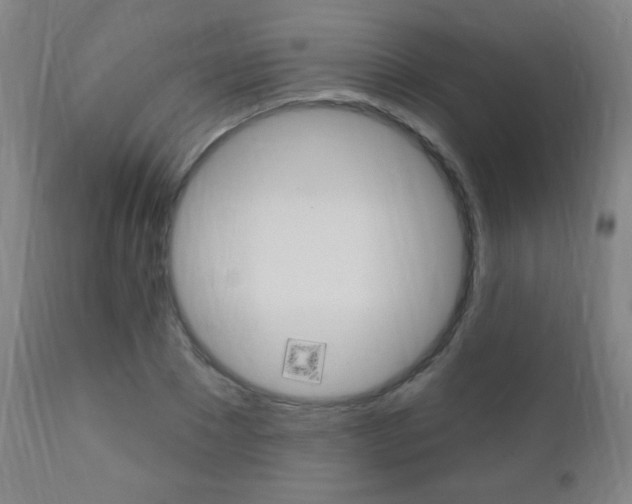 X0000110940881200906191048