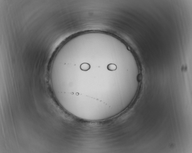X0000110940883200906191048