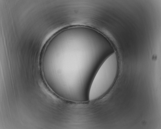 X0000110940884200906191048