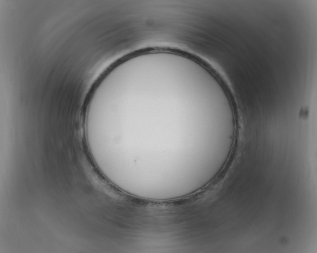 X0000110940887200906191048