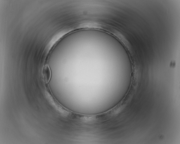 X0000110940893200906191048
