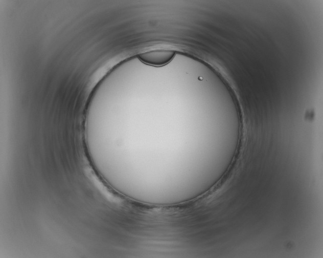 X0000110940898200906191048