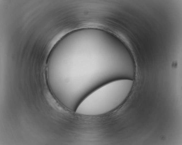 X0000110940899200906191048