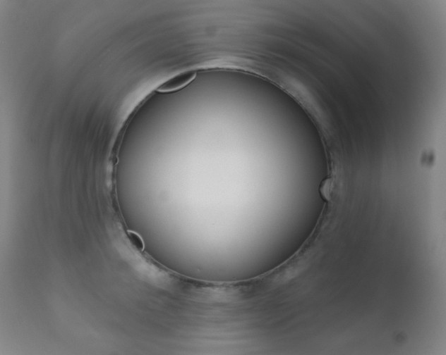 X0000110940900200906191048