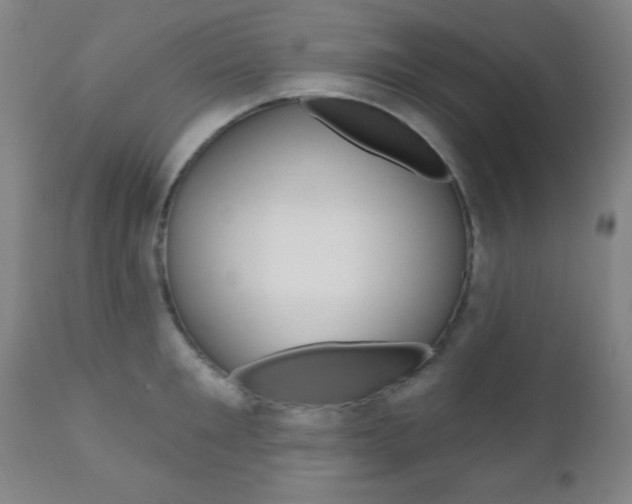X0000110940901200906191048