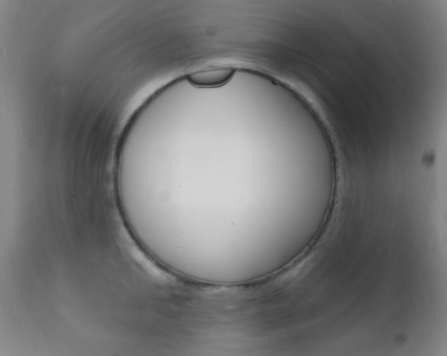 X0000110940902200906191048