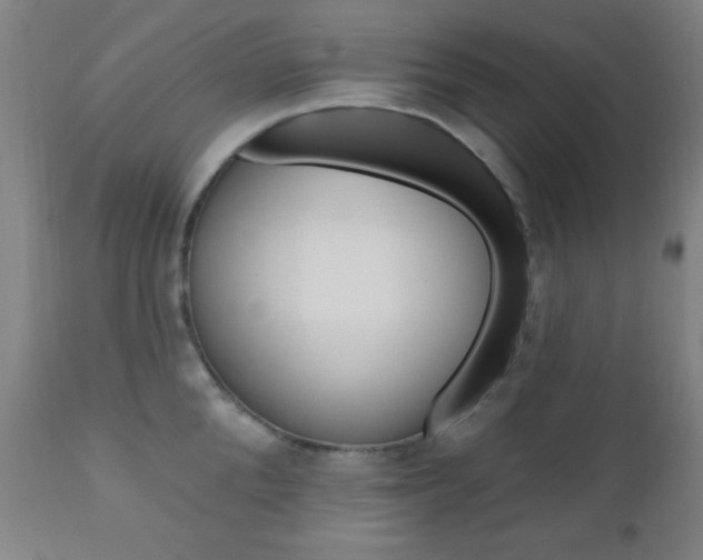 X0000110940904200906191048