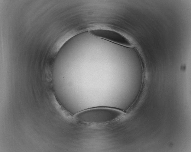 X0000110940905200906191048
