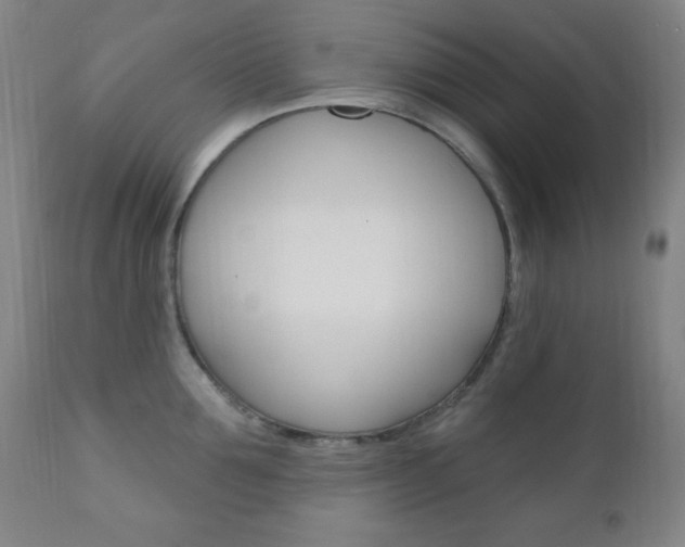 X0000110940907200906191048