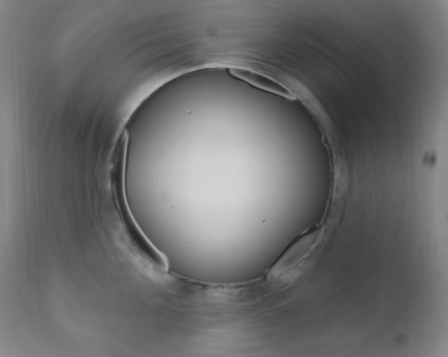 X0000110940908200906191047