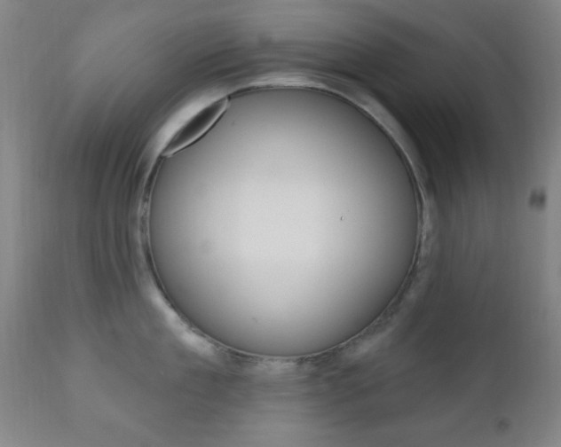 X0000110940909200906191047