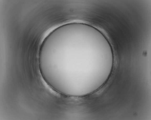 X0000110940910200906191047