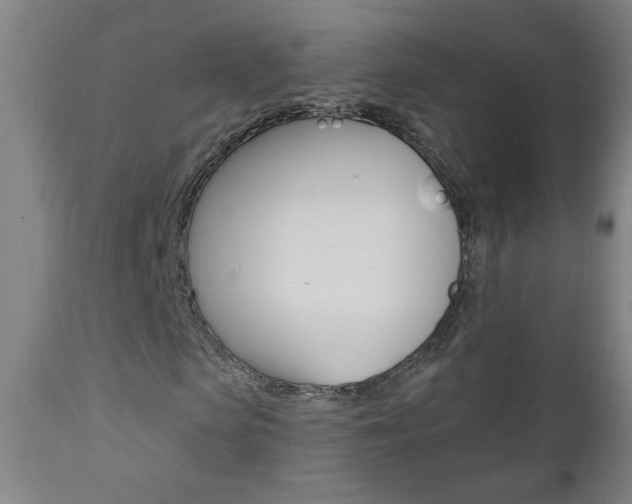 X0000110940913200906191046