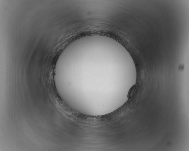 X0000110940914200906191046