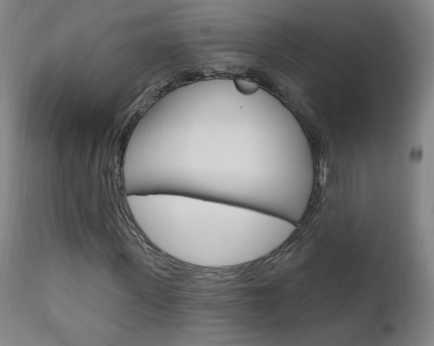 X0000110940915200906191046
