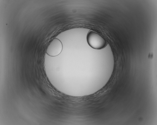 X0000110940916200906191046