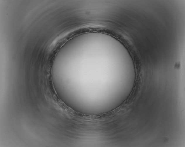 X0000110940920200906191047