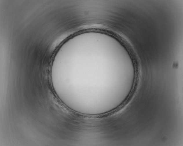X0000110940921200906191047
