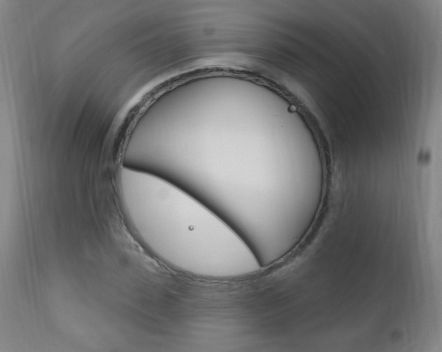X0000110940923200906191047
