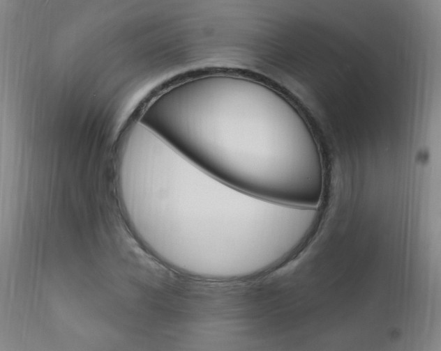 X0000110940926200906191047