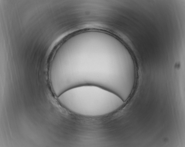 X0000110940931200906191047