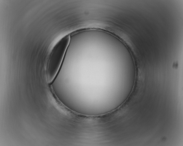 X0000110940936200906191047