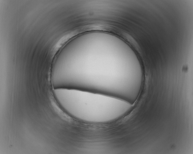 X0000110940938200906191047