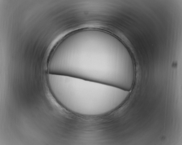 X0000110940939200906191047